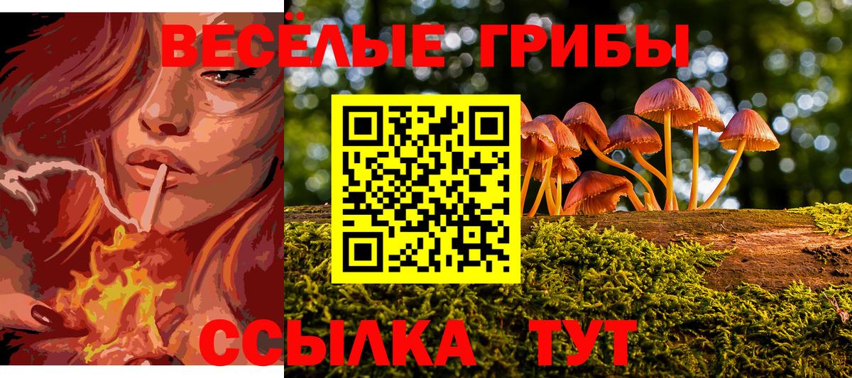 Галлюциногенные грибы GOLDEN TEACHER  Вход с VPN  Ялуторовск  Галлюциногенные грибы мухоморы 